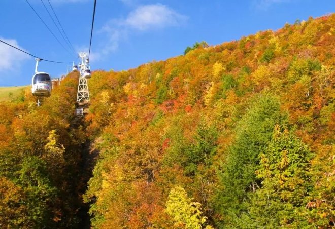 長野景點 長野景點
