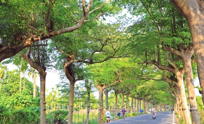泗林健走步道 泗林健走步道