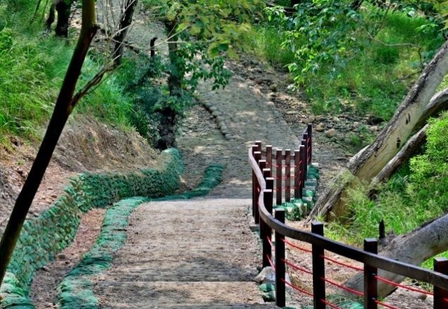 瑞井登山步道 瑞井登山步道