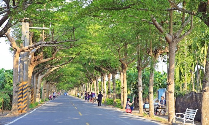 泗林健走步道 泗林健走步道