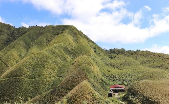 宜蘭抹茶山 宜蘭抹茶山