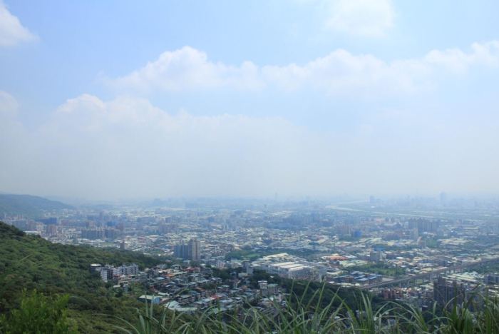 樹林景點