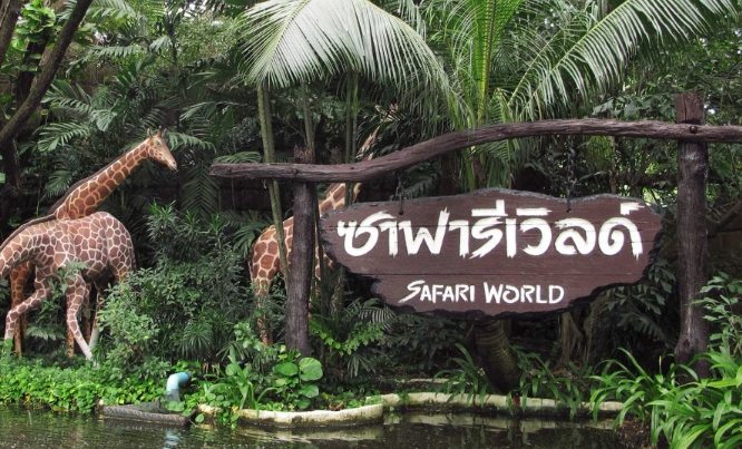 賽佛瑞野生動物園 賽佛瑞野生動物園