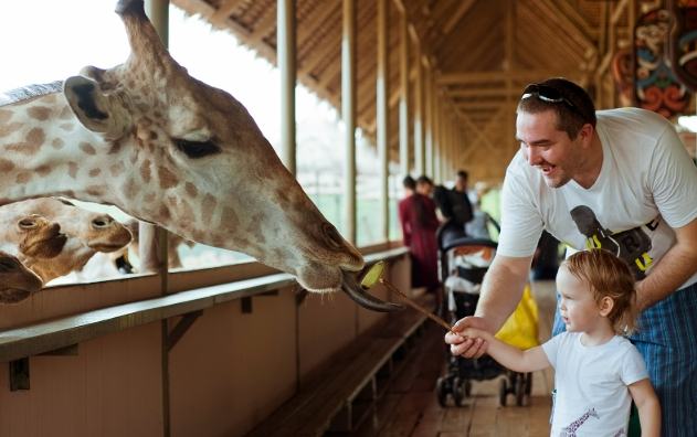 賽佛瑞野生動物園 賽佛瑞野生動物園