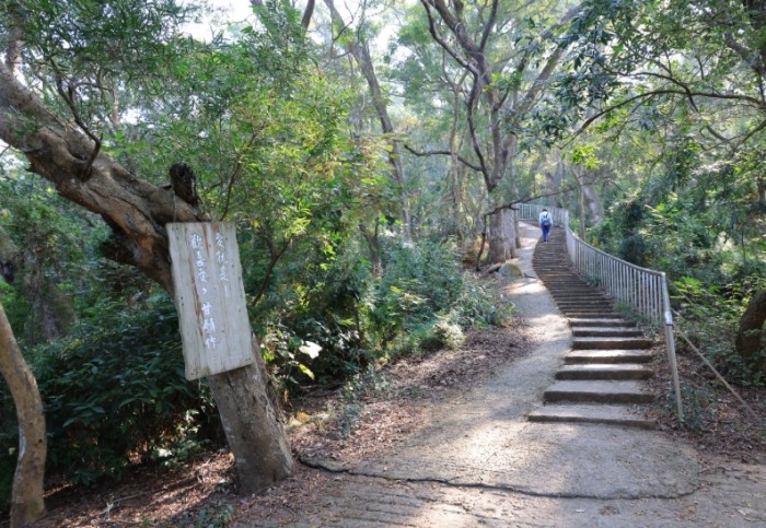 田中森林公園登山步道 田中森林公園登山步道