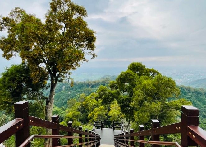 中央嶺步道 中央嶺步道