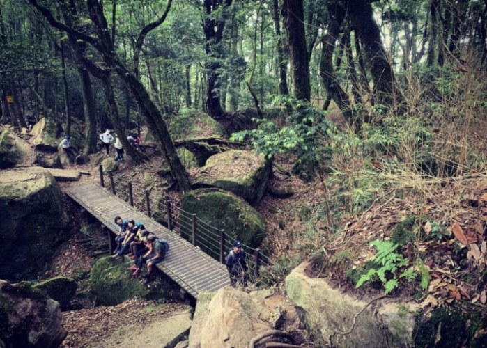苗栗登山步道 苗栗登山步道