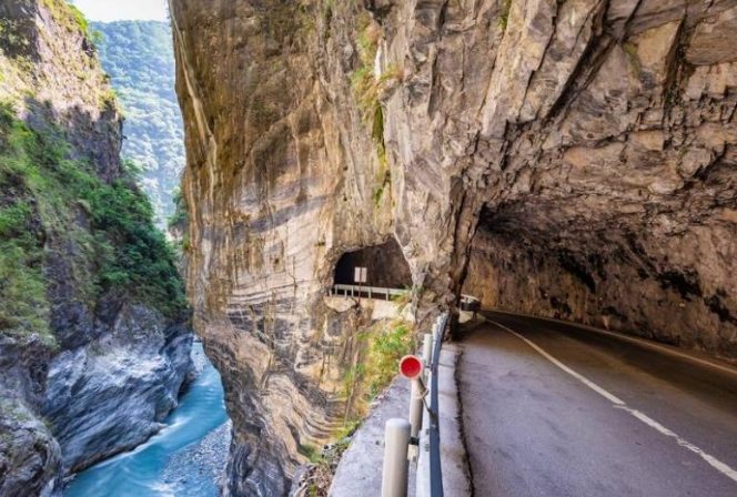 金龍旅遊 金龍旅遊