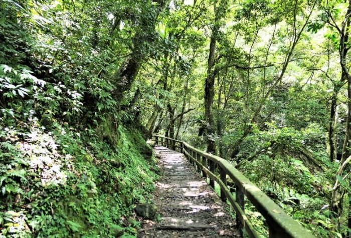 滿月圓國家森林遊樂區 滿月圓國家森林遊樂區