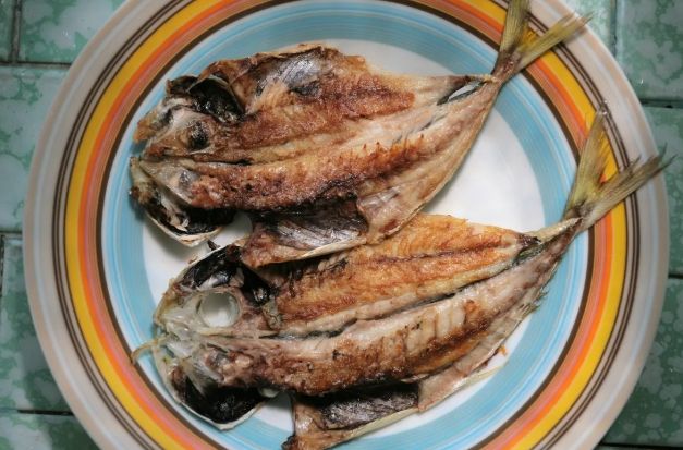 竹莢魚