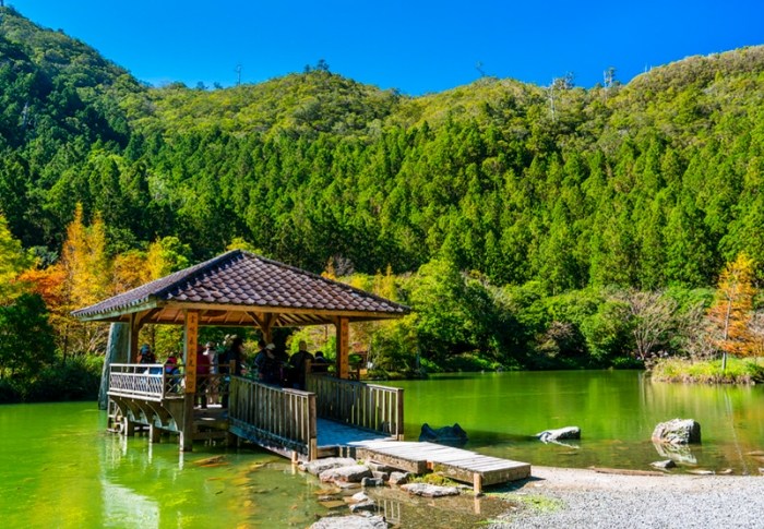 明池森林遊樂區 明池森林遊樂區