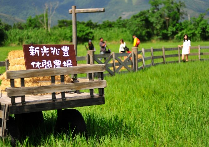花蓮農場 花蓮農場