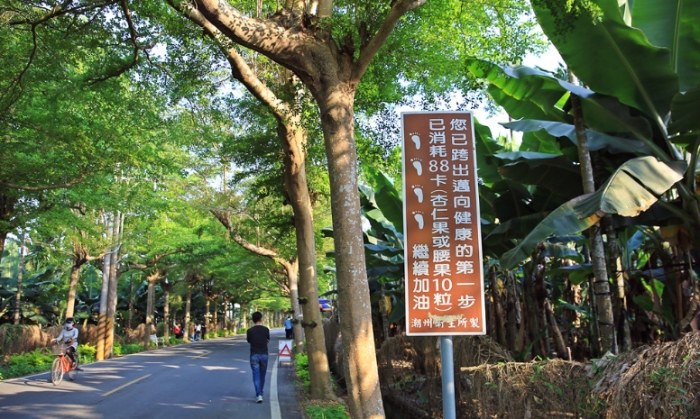 泗林健走步道 泗林健走步道