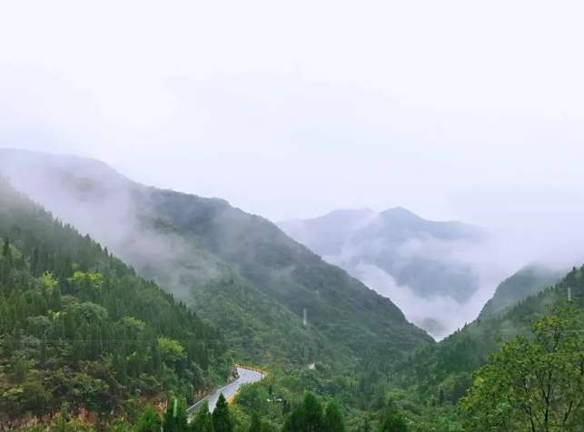 慈云山 慈云山