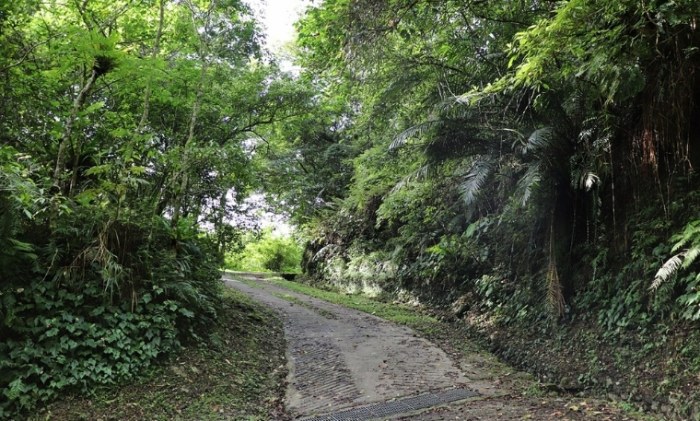 佐倉步道