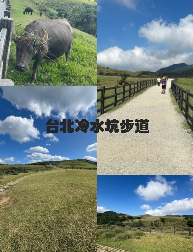 台北登山步道 台北登山步道