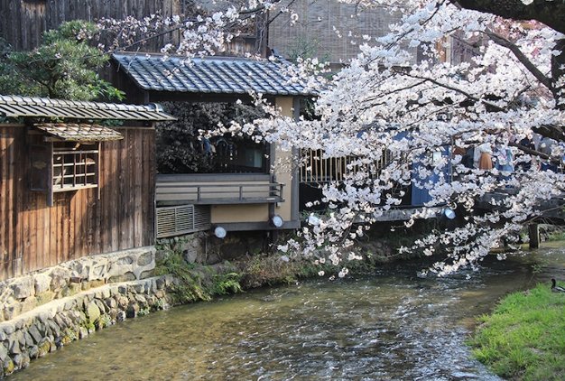 京都祇園 京都祇園