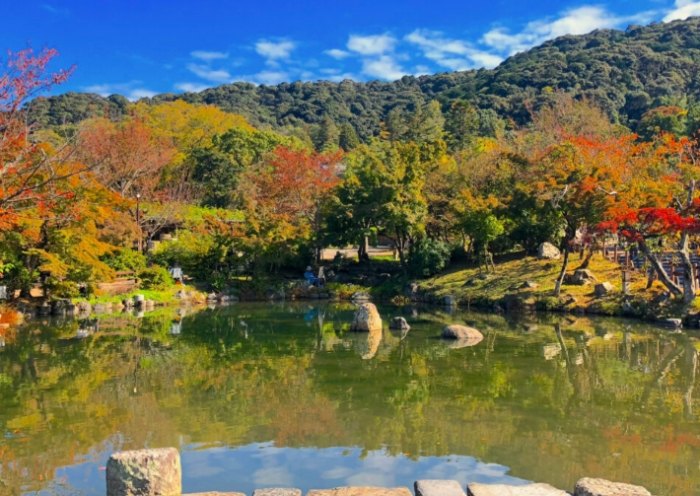 円山公園賞櫻 円山公園賞櫻