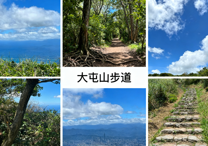 台北登山步道 台北登山步道