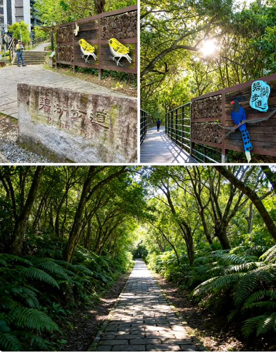 台北登山步道 台北登山步道