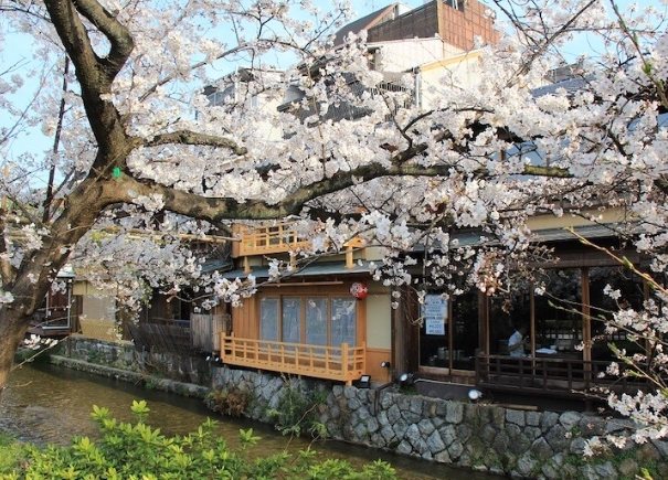 白川南通 白川南通