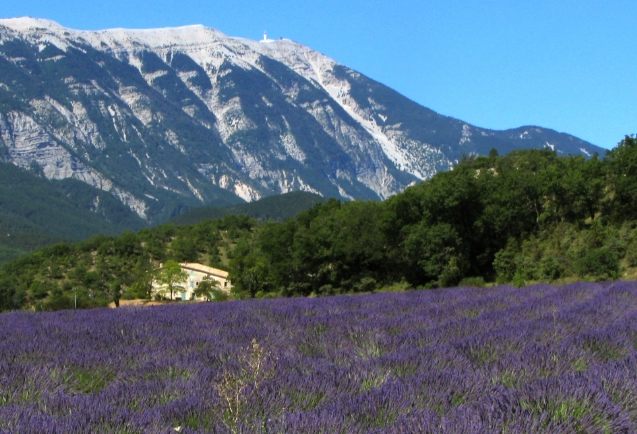 普羅旺斯旅遊 普羅旺斯旅遊