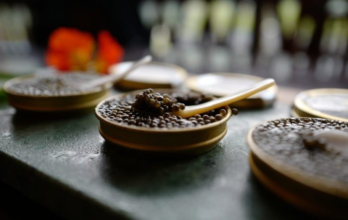 帶魚子醬回台灣 帶魚子醬回台灣