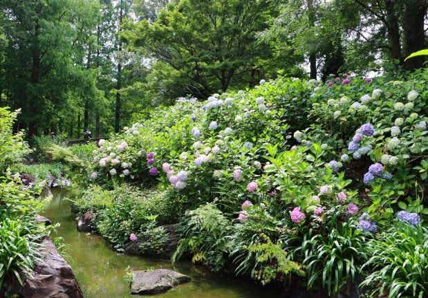 長居植物園旅遊 長居植物園旅遊