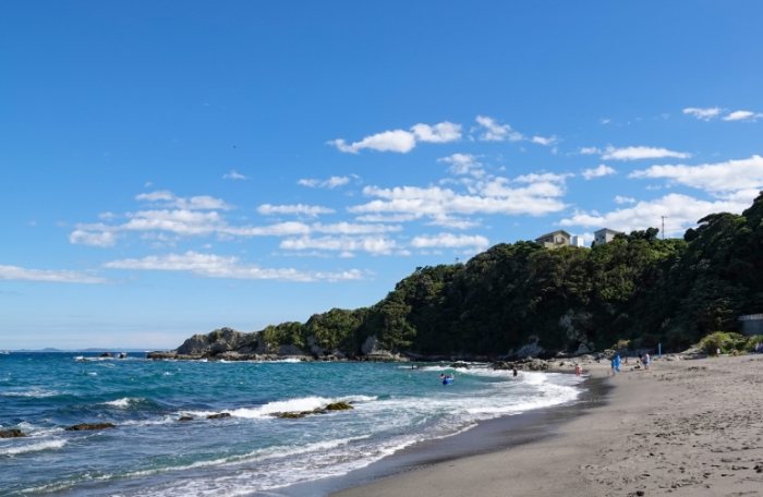 大浦交通 大浦交通