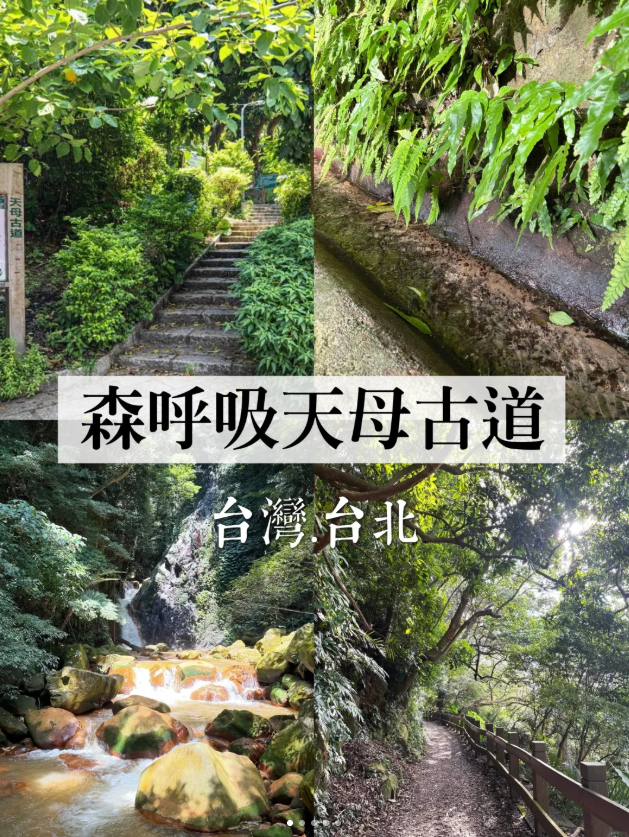 台北登山步道 台北登山步道